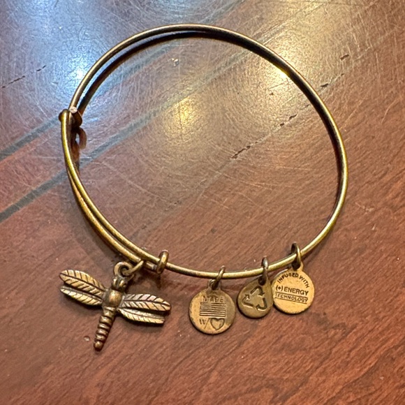 Alex and Ani Gold Dragonfly Charm Bangle - Picture 1 of 3